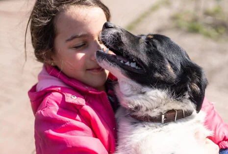 Pies niejadek - jak karmić psa, który nie chce jeść?