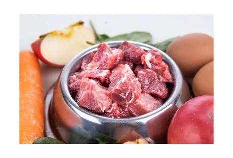 Czy dieta BARF jest zdrowa?