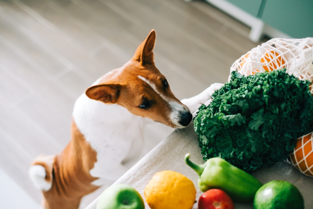 AdobeStock_438980564