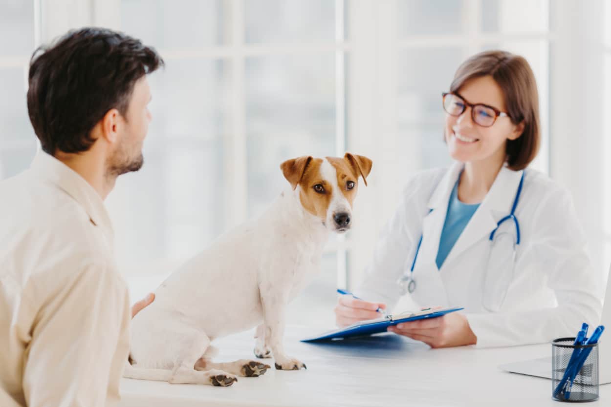 Pies alergik siedzi na stole zabiegowym, obok właściciel rozmawia z weterynarzem
